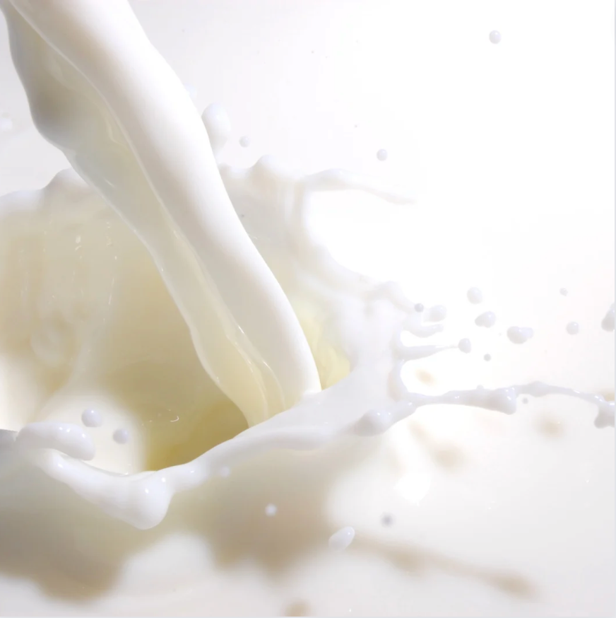 The Whole Story On: Whole Milk