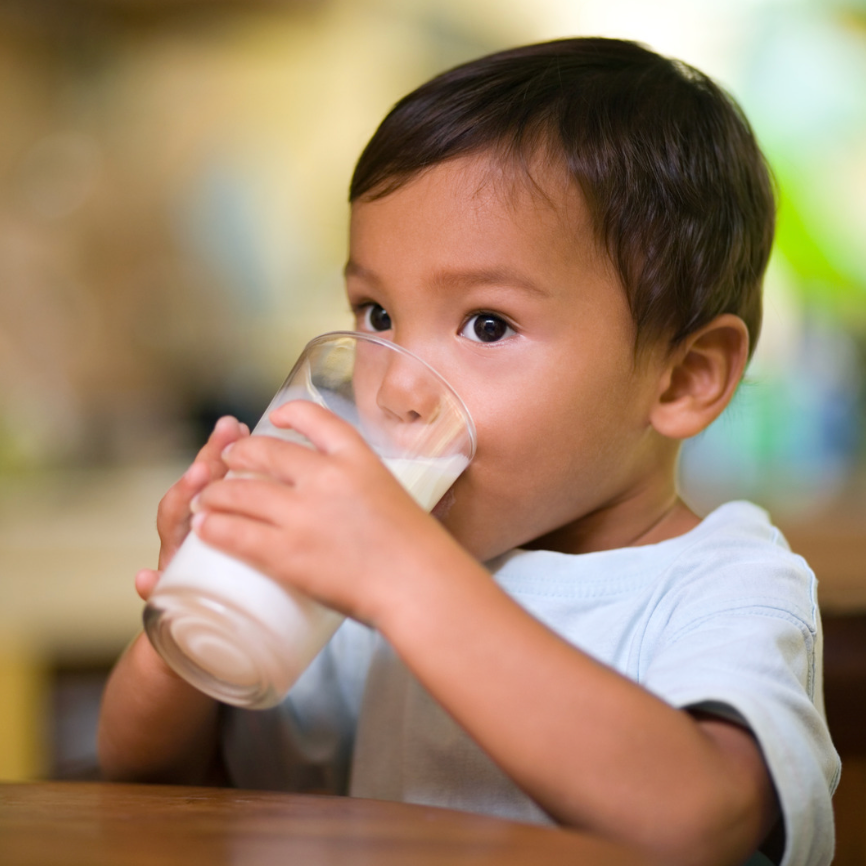 All about Whole Milk